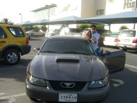 mostang 2004    2
